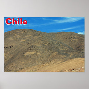 Hond Poster