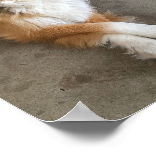 Hond Poster (Hoek)