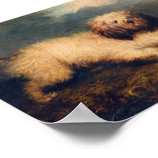  Hond Print Cavapoo Instant Download (Hoek)