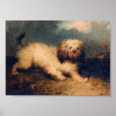  Hond Print Cavapoo Instant Download (Voorkant)