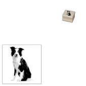 Hond Pup Border Collie Rubberstempel (Gestempeld)