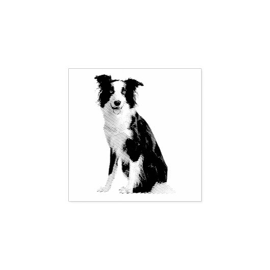 Hond Pup Border Collie Rubberstempel (Afrduk)