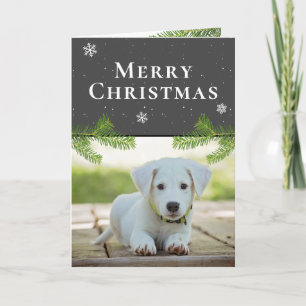 Hond Puppies Foto Dennensneeuwvlokken Prettig Kers Feestdagen Kaart
