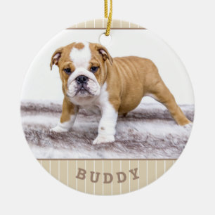 Hond Puppies Huisdier Foto Beige Streep Keramisch Ornament