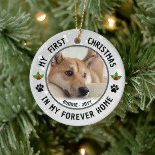 Hond Puppies Kat Huisdier Foto Eerste Kerstmis Aan Keramisch Ornament