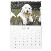 Hond puppies puppy kalender (Jan 2027)