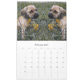 Hond puppies puppy kalender (Feb 2027)