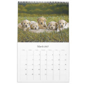 Hond puppies puppy kalender (Mar 2027)