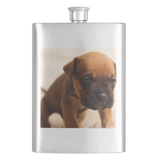 hond puppy flacon (Voorkant)