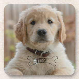 HOND PUPPY FOTO NAAM BOTTIG BESTE HOND MOM DAD TRE BIER ONDERZETTER