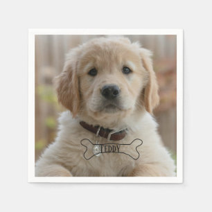 HOND PUPPY FOTO NAAM BOTTIG BESTE HOND MOM DAD TRE SERVET