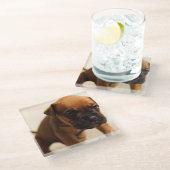 hond puppy glazen onderzetter (Schuin)