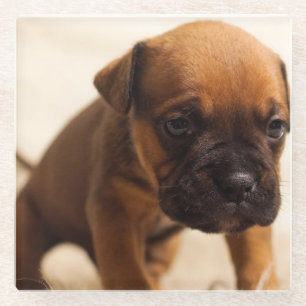 hond puppy glazen onderzetter