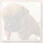 hond puppy glazen onderzetter (Achterkant)