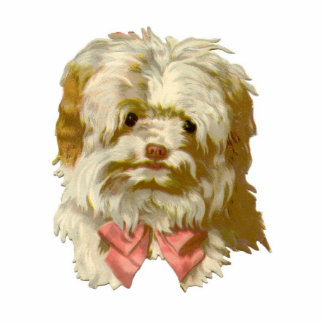 hond puppy het Hoeden de ambachtenboerderij van de Fotobeeldje Sleutelhanger