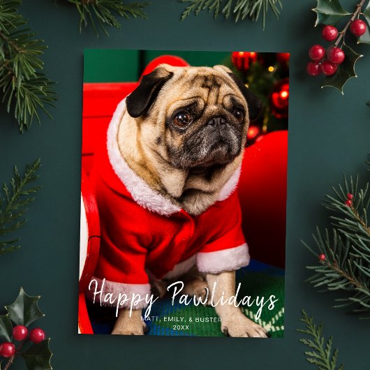 Hond Puppy Kerstfoto Happy Pawholidays Rood Feestdagenkaart
