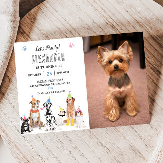 Hond Puppy Laten we Pawty Verjaardagsfeestfoto Kaart