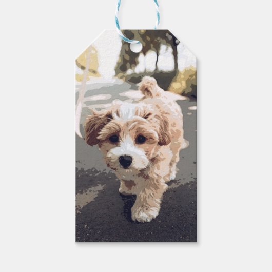 Hond, Puppy, Pooch Cadeaulabel (Voorkant)