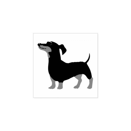 Hond Puppy Schattigste Baby Dachshund Rubberstempel (Afrduk)