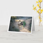 Hond Rennend en Springend Kaart (Gele Bloem)