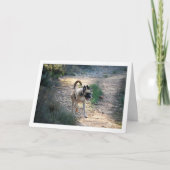 Hond Rennend en Springend Kaart (Voorkant)