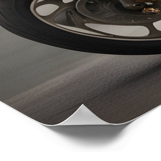 Hond Rijden fiets Poster (Hoek)