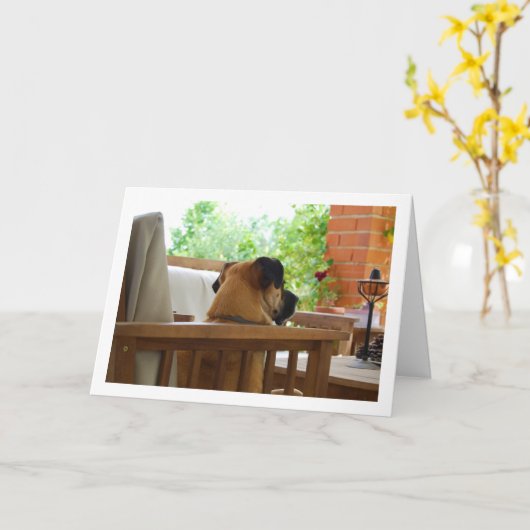 Hond rust in stoel Portret Kaart (Gele Bloem)