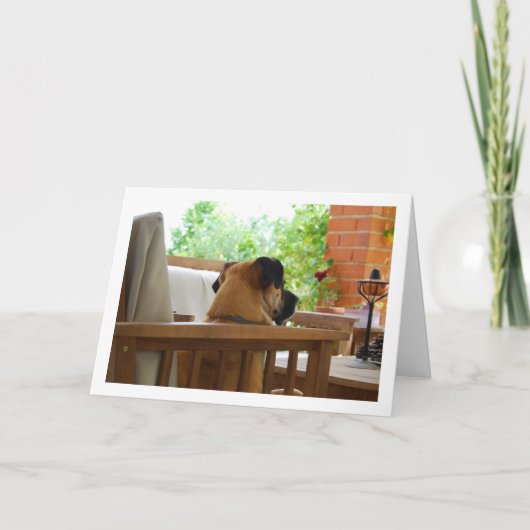 Hond rust in stoel Portret Kaart (Voorkant)