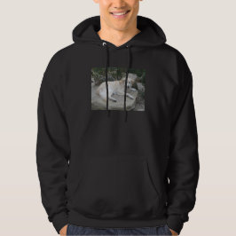 Hond rustend op een rots hoodie