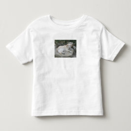 Hond rustend op een rots kinder shirts