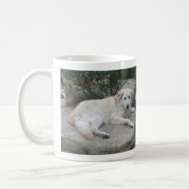 Hond rustend op een rots koffiemok