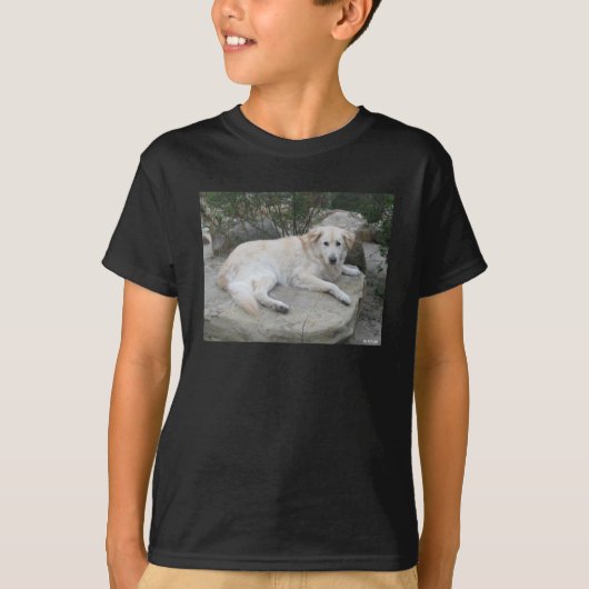 Hond rustend op een rots t-shirt (Voorkant)