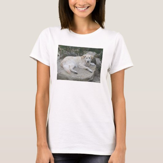 Hond rustend op een rots t-shirt (Voorkant)