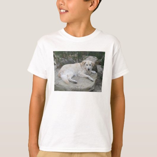 Hond rustend op een rots t-shirt (Voorkant)