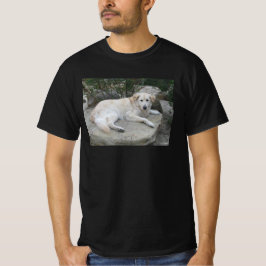 Hond rustend op een rots t-shirt