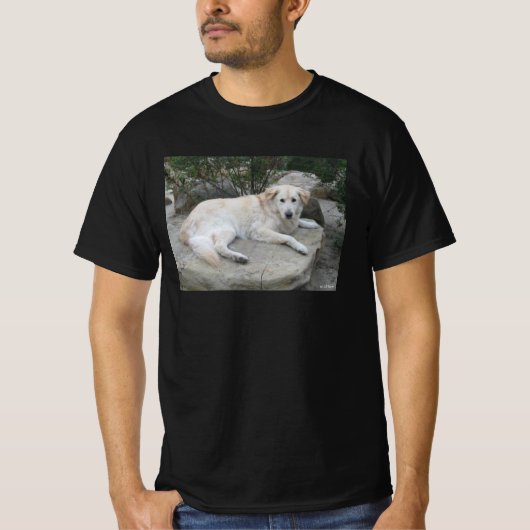 Hond rustend op een rots t-shirt (Voorkant)