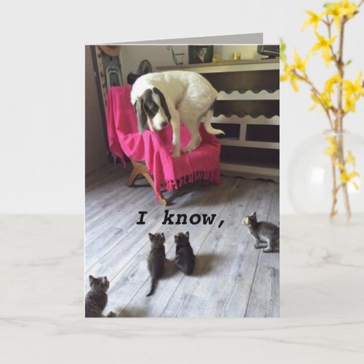 HOND SCARDY KAART (Gele Bloem)