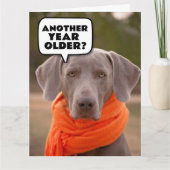 HOND SCHATTIGE GRAPPIG HAPPY BIRTHDAY WENSKAARTEN KAART (Voorkant)