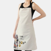 hond schort (Insitu)