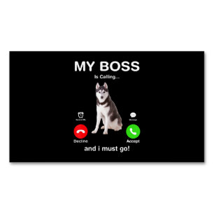 Hond Siberian Husky My Baas belt en ik moet: Magnetisch Visitekaartje