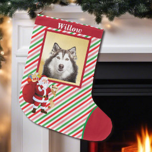 Hond Sinterklaas Goede Lijst Fotonaam Grote Kerstsok