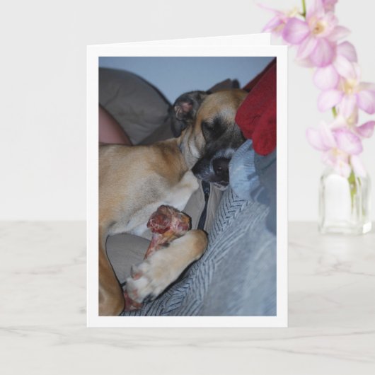 Hond Slapend met Bot Kaart (Orchidee)