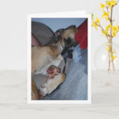 Hond Slapend met Bot Kaart (Gele Bloem)