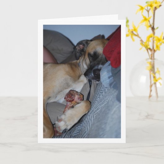 Hond Slapend met Bot Kaart (Gele Bloem)