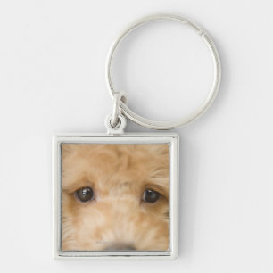 Hond Sleutelhanger