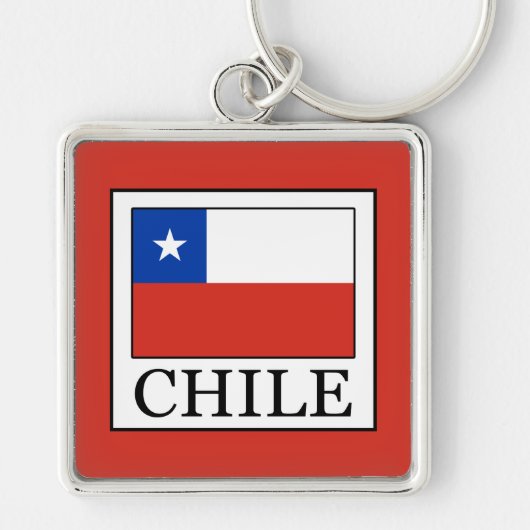 Hond Sleutelhanger (Voorkant)