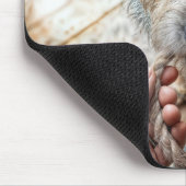 Hond speelt met touw muismat (Hoek)