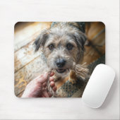 Hond speelt met touw muismat (Met muis)