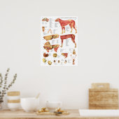 Hond Spieren Interne Anatomie Chart Poster (Keuken)