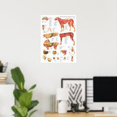Hond Spieren Interne Anatomie Chart Poster (Thuiskantoor)